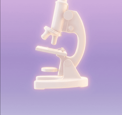 DESIGNER PRO